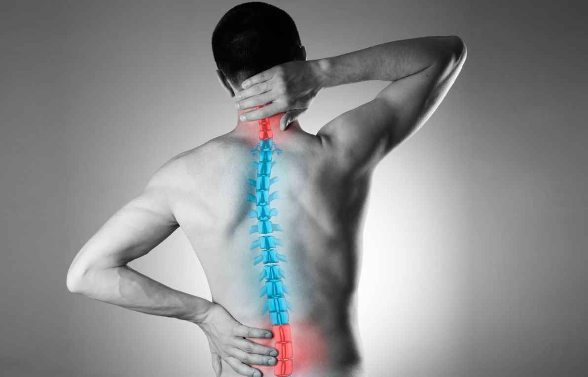 Protect Your Spine Ergonomic Tips and Lifestyle Changes for a Pain-Free Life