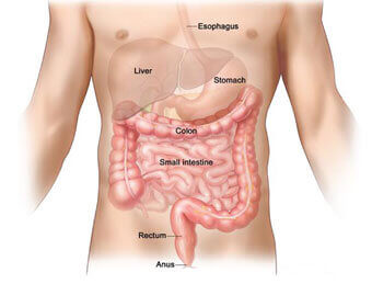 Colorectal Surgery