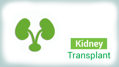 Kidney Transplant Hospital in India