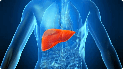 Liver Cancer Treatment