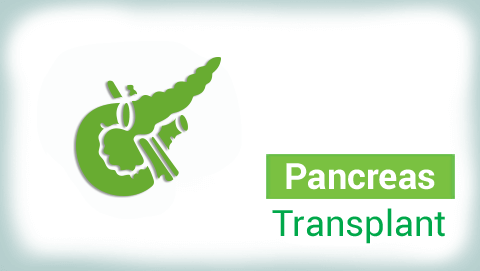 Pancreas Transplant