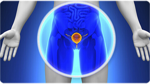 Prostate Cancer Symptoms Causes And Treatment In India Apollo Hospitals