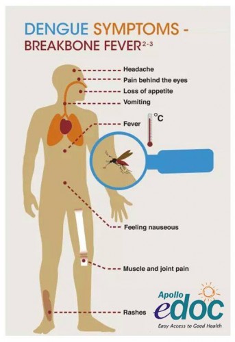 Dengue fever