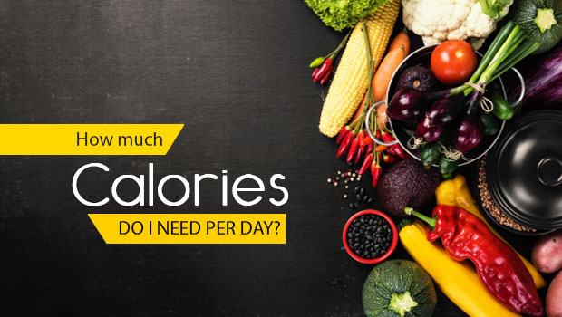 How Much Calorie Do I Need Per Day?