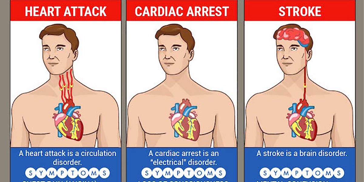 What is the difference between Stroke and Heart Attack