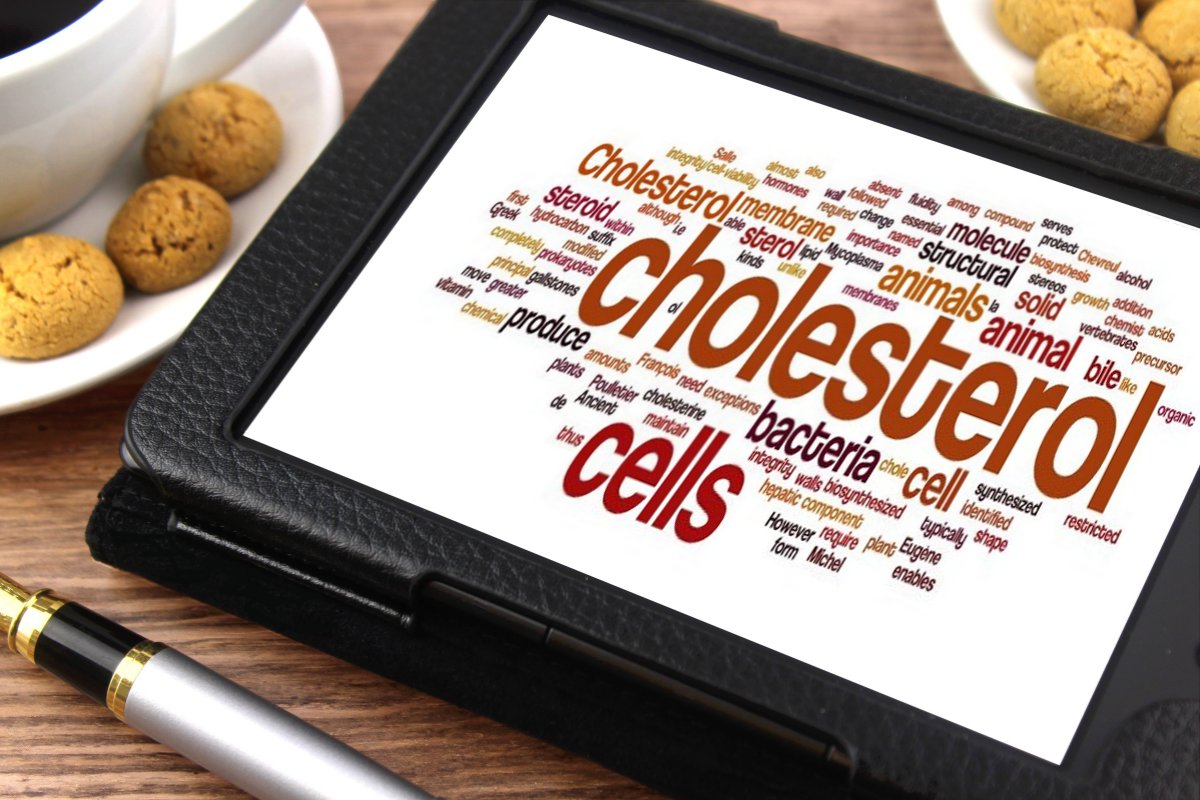 What Levels in Blood is Considered High Cholesterol?