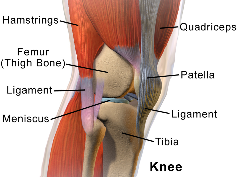 What can cause Knee Pain without injury?