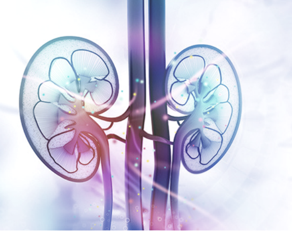 What is the First Sign of Kidney Failure?