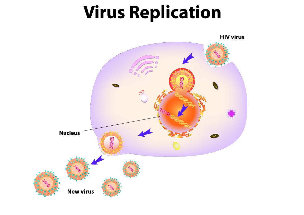 Acquired immunodeficiency syndrome (AIDS)