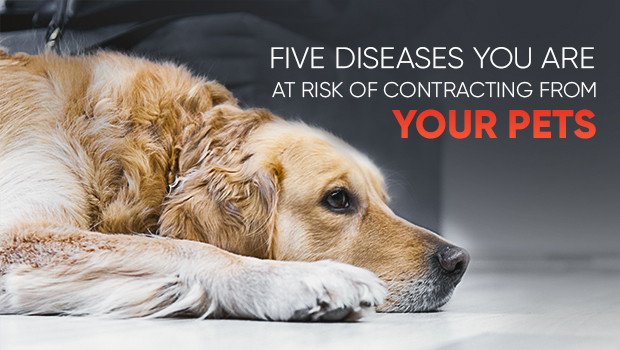 FIVE DISEASES YOU ARE AT RISK OF CONTRACTING FROM YOUR PETS