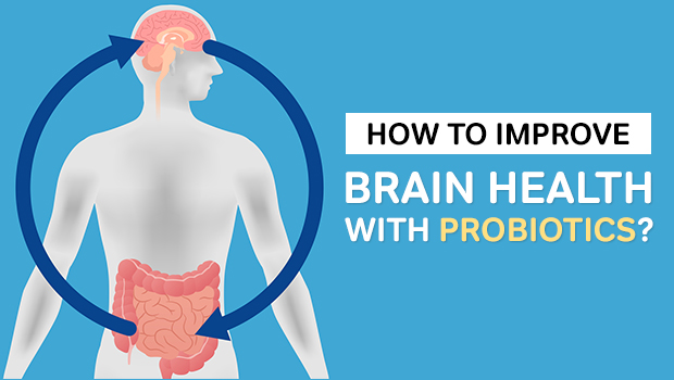 How to improve brain health with Probiotics ?