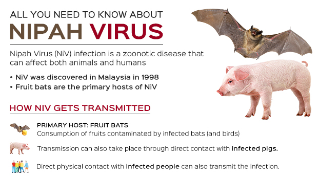 Nipah Virus – Symptoms, Diagnosis and Treatment