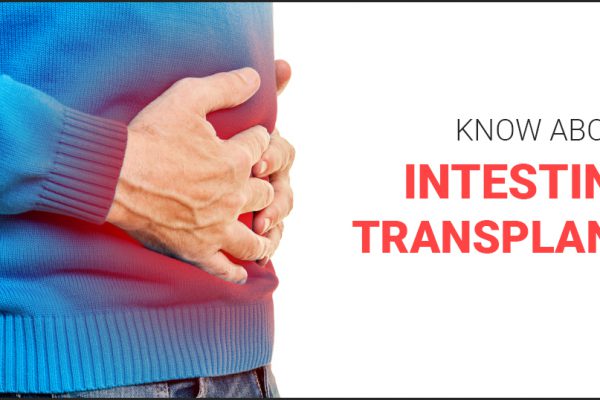 Intestine Transplant – All you wanted to know