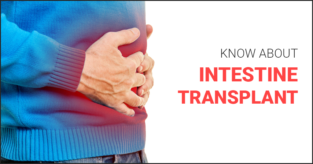 Intestine Transplant – All you wanted to know