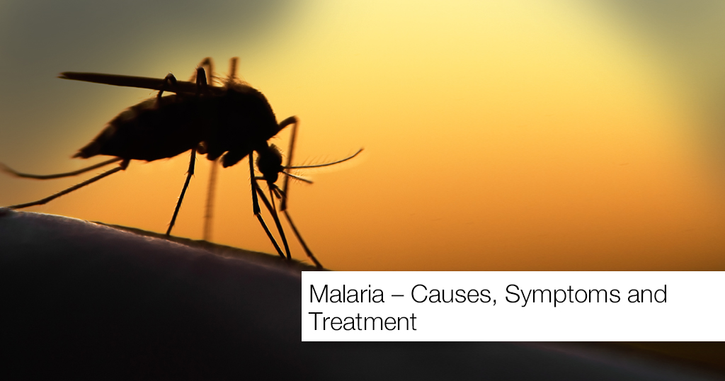 Malaria – Causes, Symptoms and Treatment