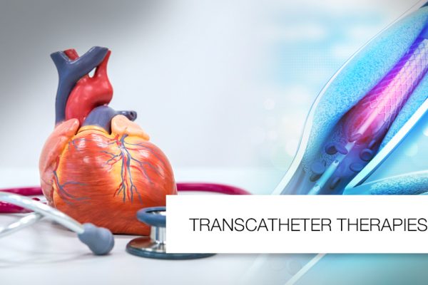 Transcatheter Therapie: Adding Years To Life And Life To Years