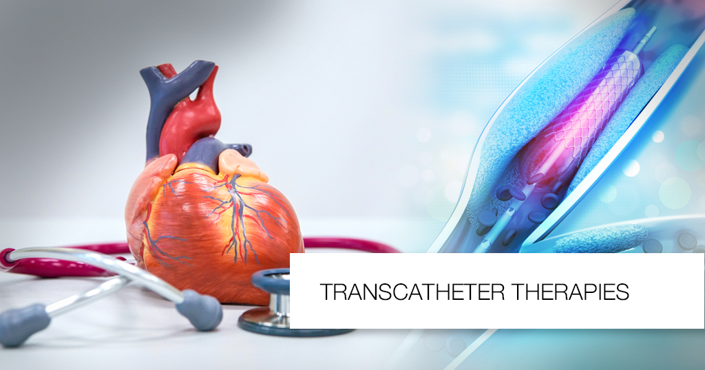 Transcatheter Therapie: Adding Years To Life And Life To Years