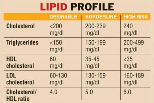 UNDERSTANDING CHOLESTEROL AND STROKE