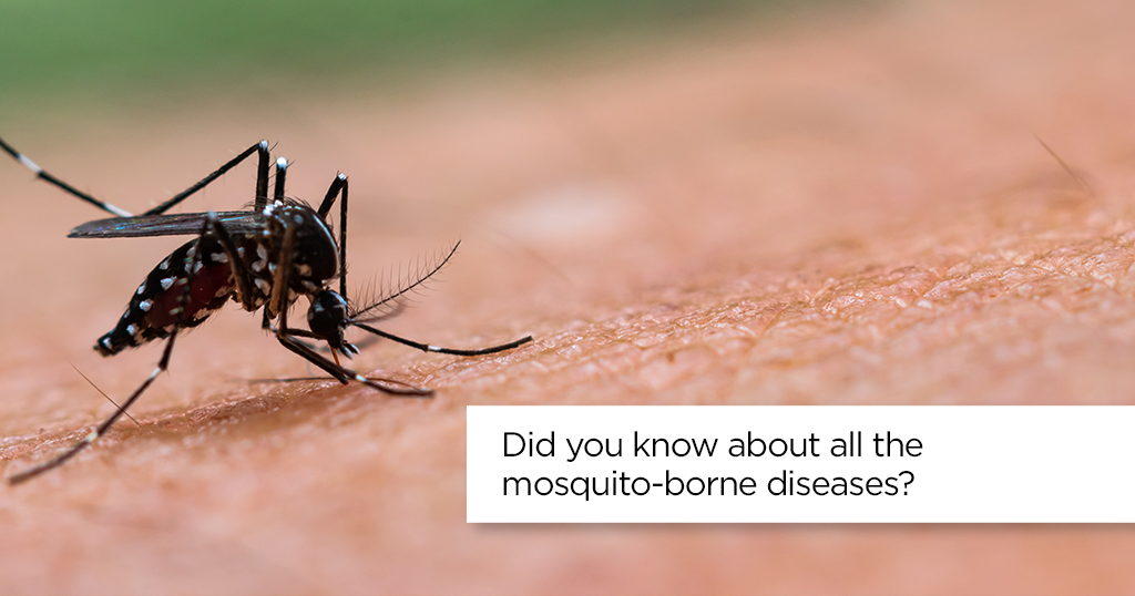 Did you know about all the mosquito-borne diseases?