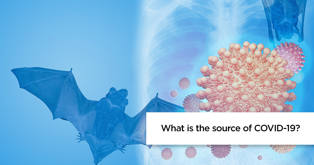 What is the source of COVID-19?