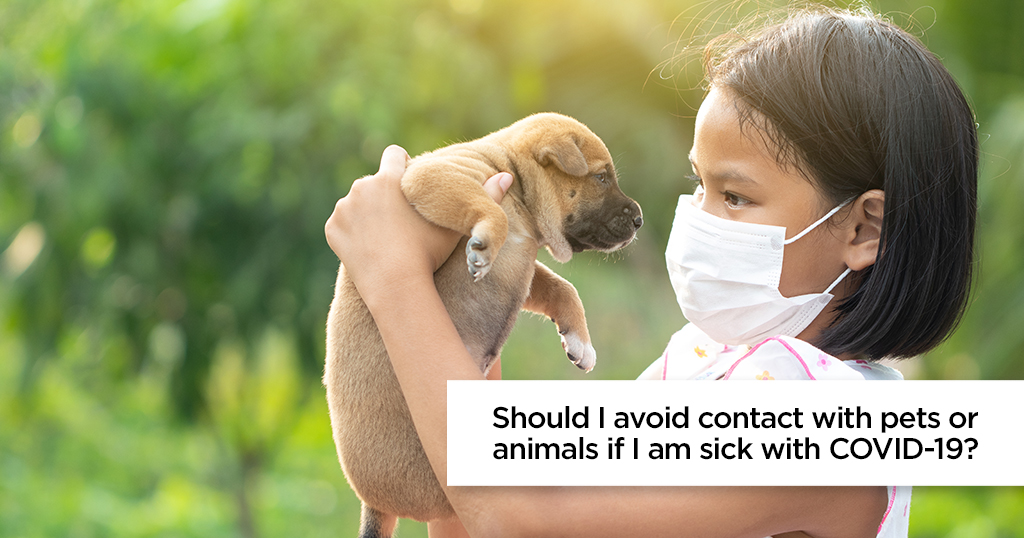 Should I avoid contact with pets or animals if I am sick with COVID-19?