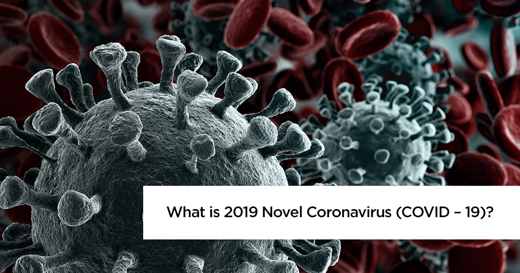 What is 2019 Novel Coronavirus (COVID – 19)?