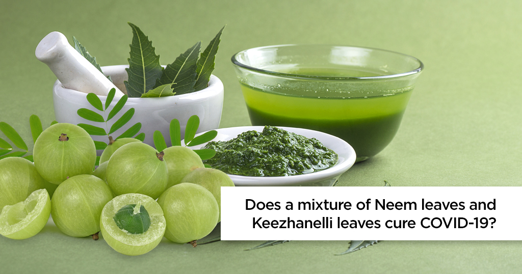 Does a mixture of neem leaves and keezhanelli leaves in paste form cure coronavirus?