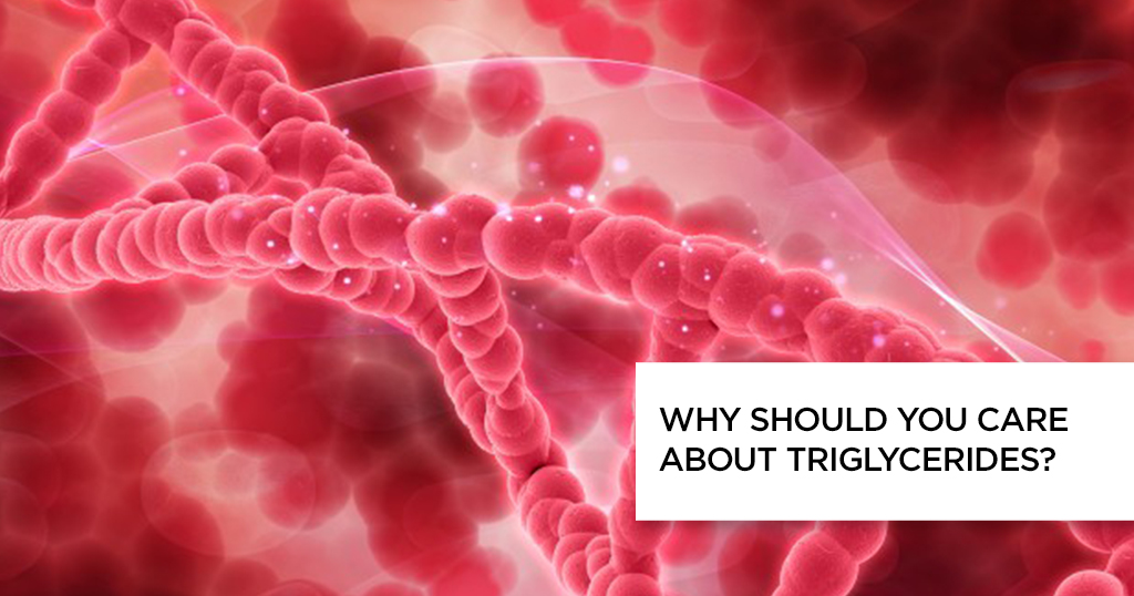 Triglycerides: Everything You Need to Know