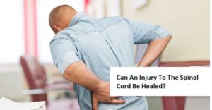 Can An Injury To The Spinal Cord Be Healed?