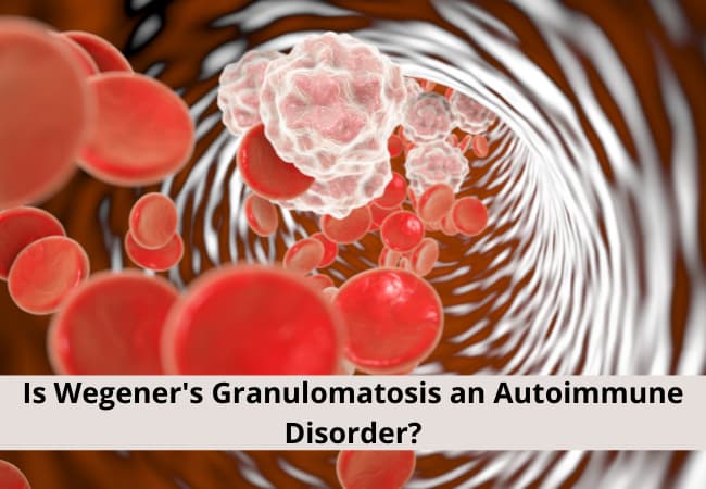 Is Wegener’s Granulomatosis an Autoimmune Disorder?