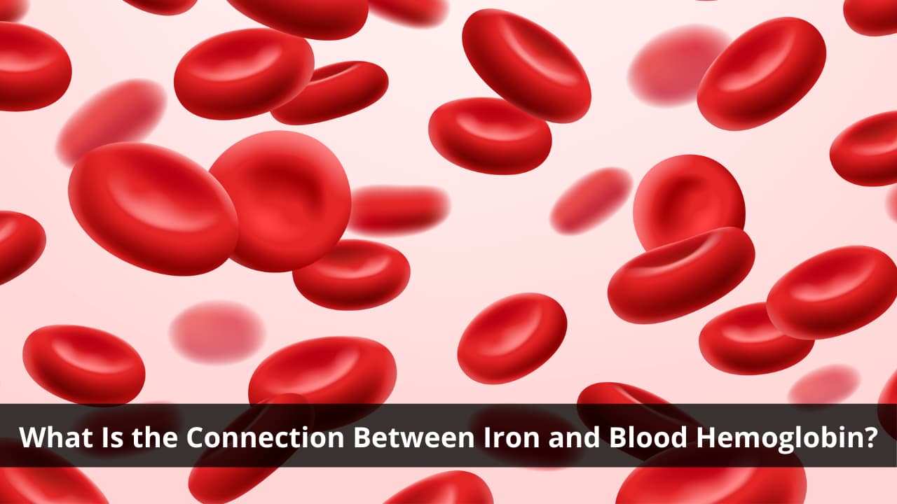 What Is the Connection Between Iron and Blood Hemoglobin?