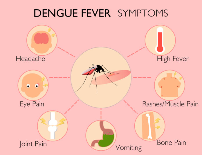 Dengue Symptoms, Causes & Preventions | Apollo Hospitals Blog