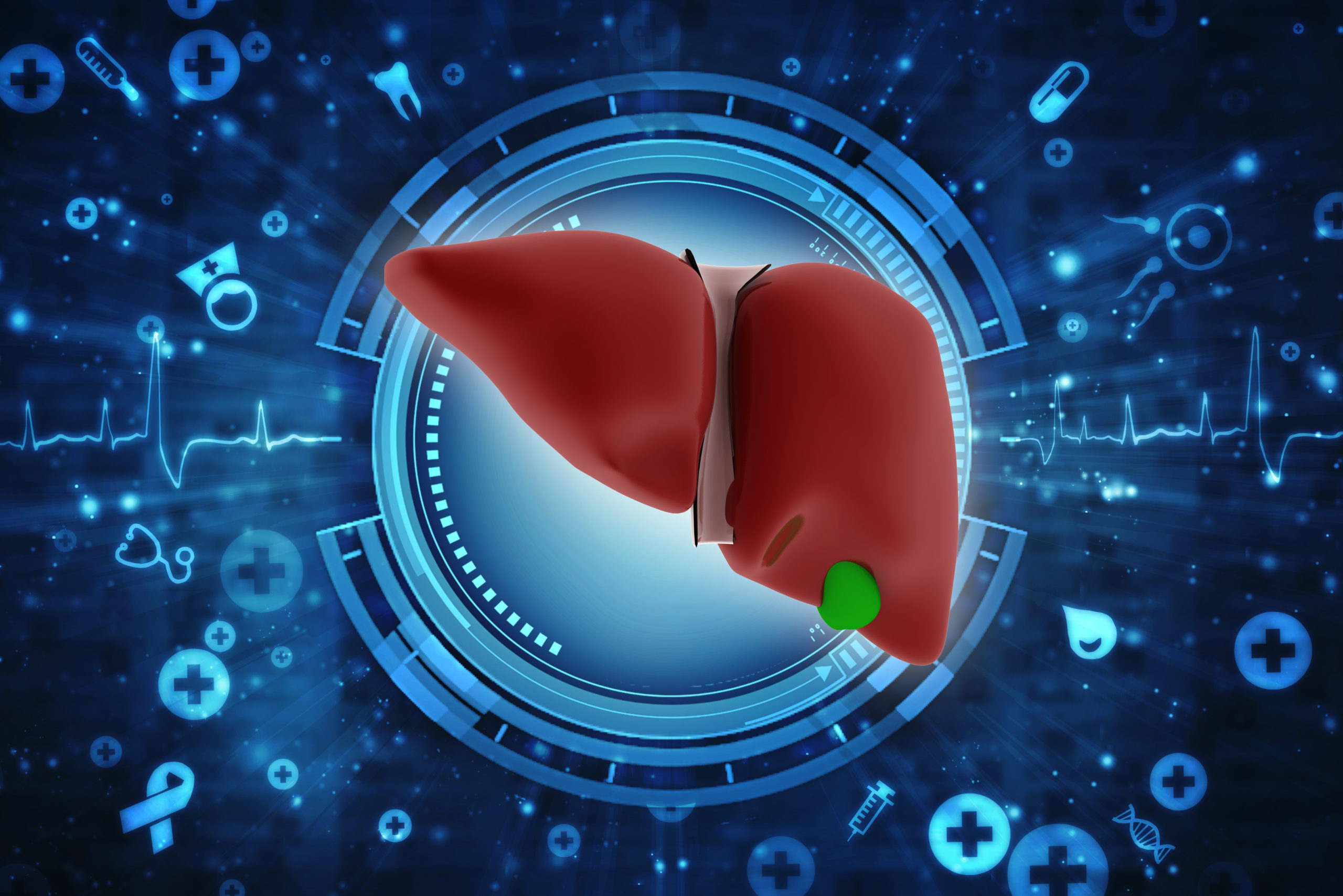 All About Liver Function Tests