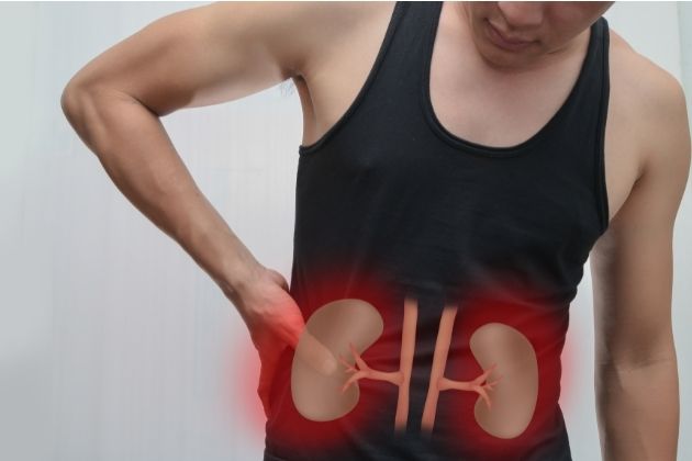 The Function and Importance of Kidneys: What Happens When There Is A Kidney Failure?