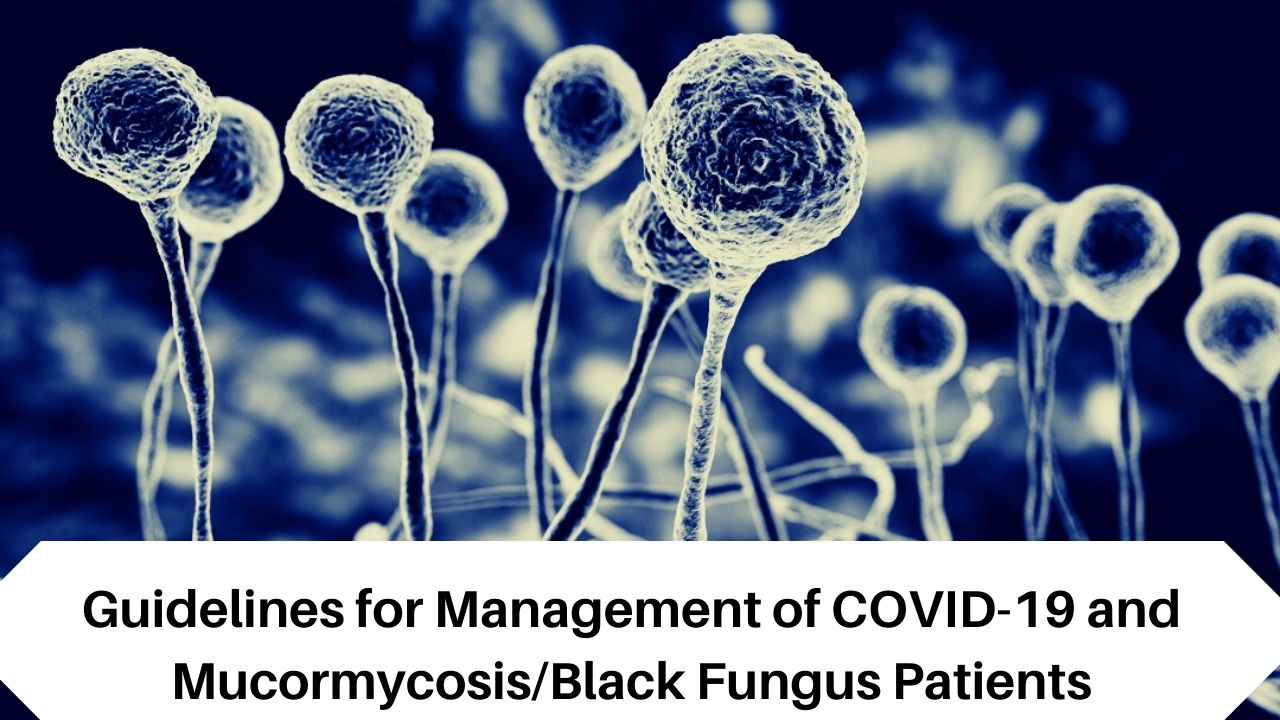 Guidelines for Management of COVID-19 and Mucormycosis/Black Fungus Patients