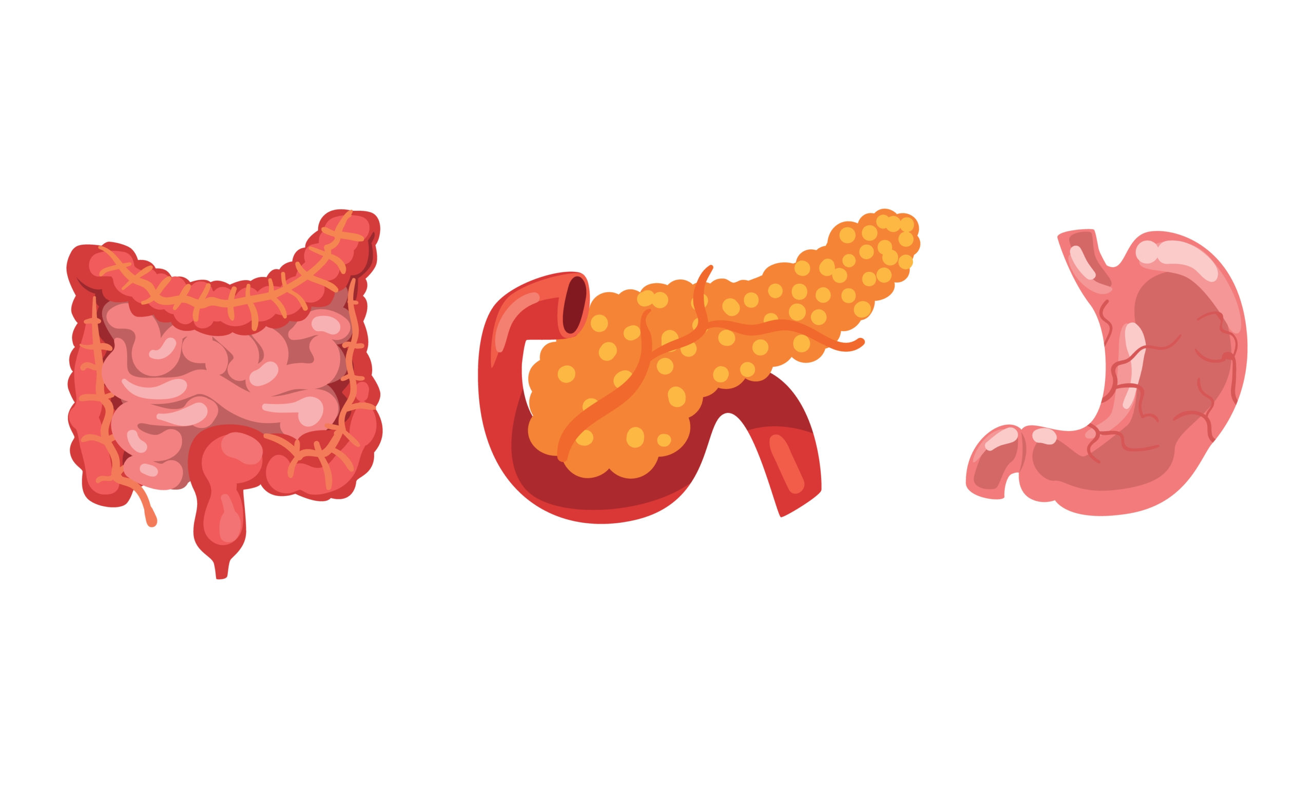 Multiple Endocrine Neoplasia, Type 1 [MEN 1]