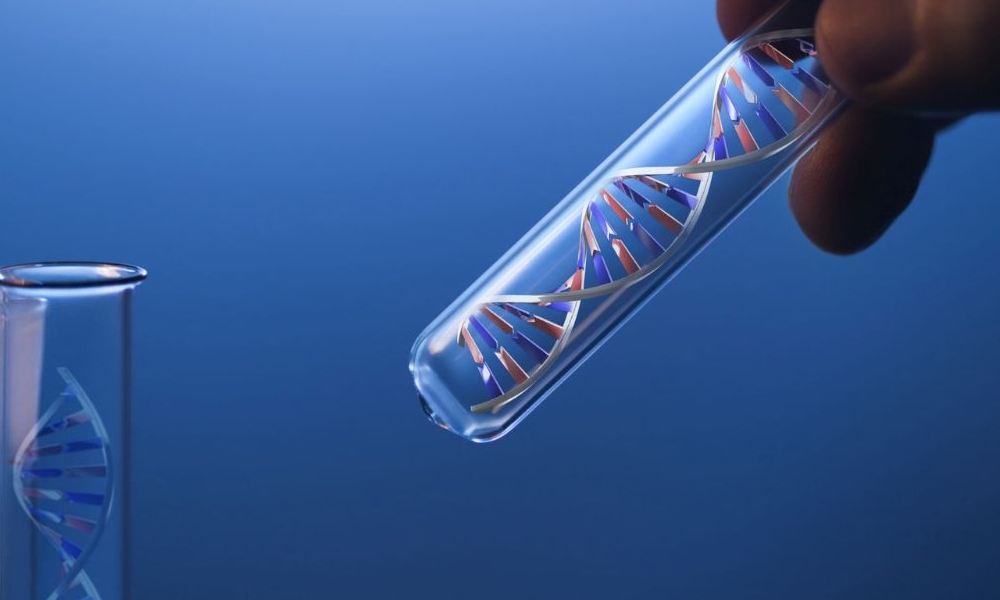 What is Genetic Testing & Why is it Done?