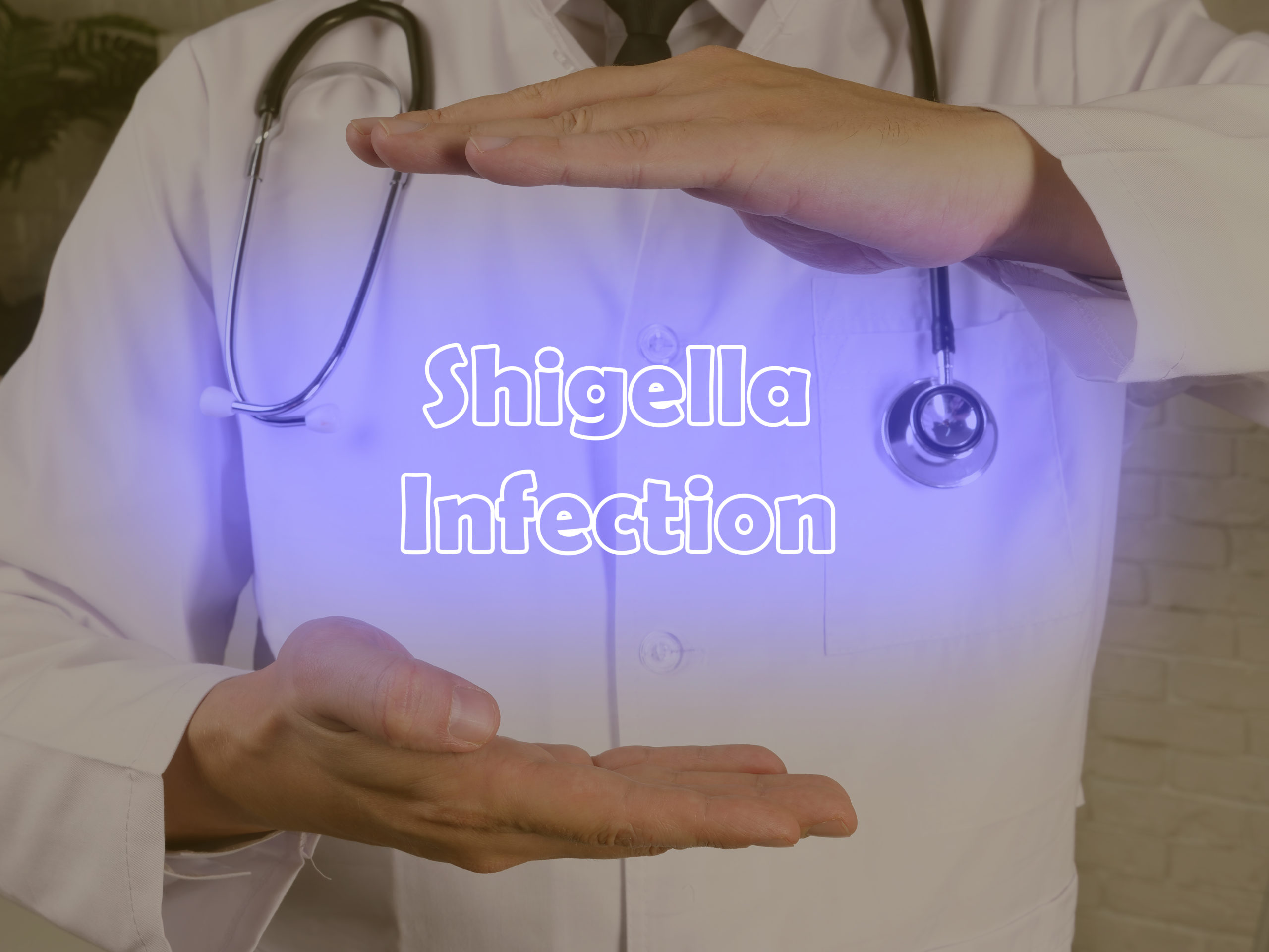 Shigella Infection – Causes, Symptoms and Treatment