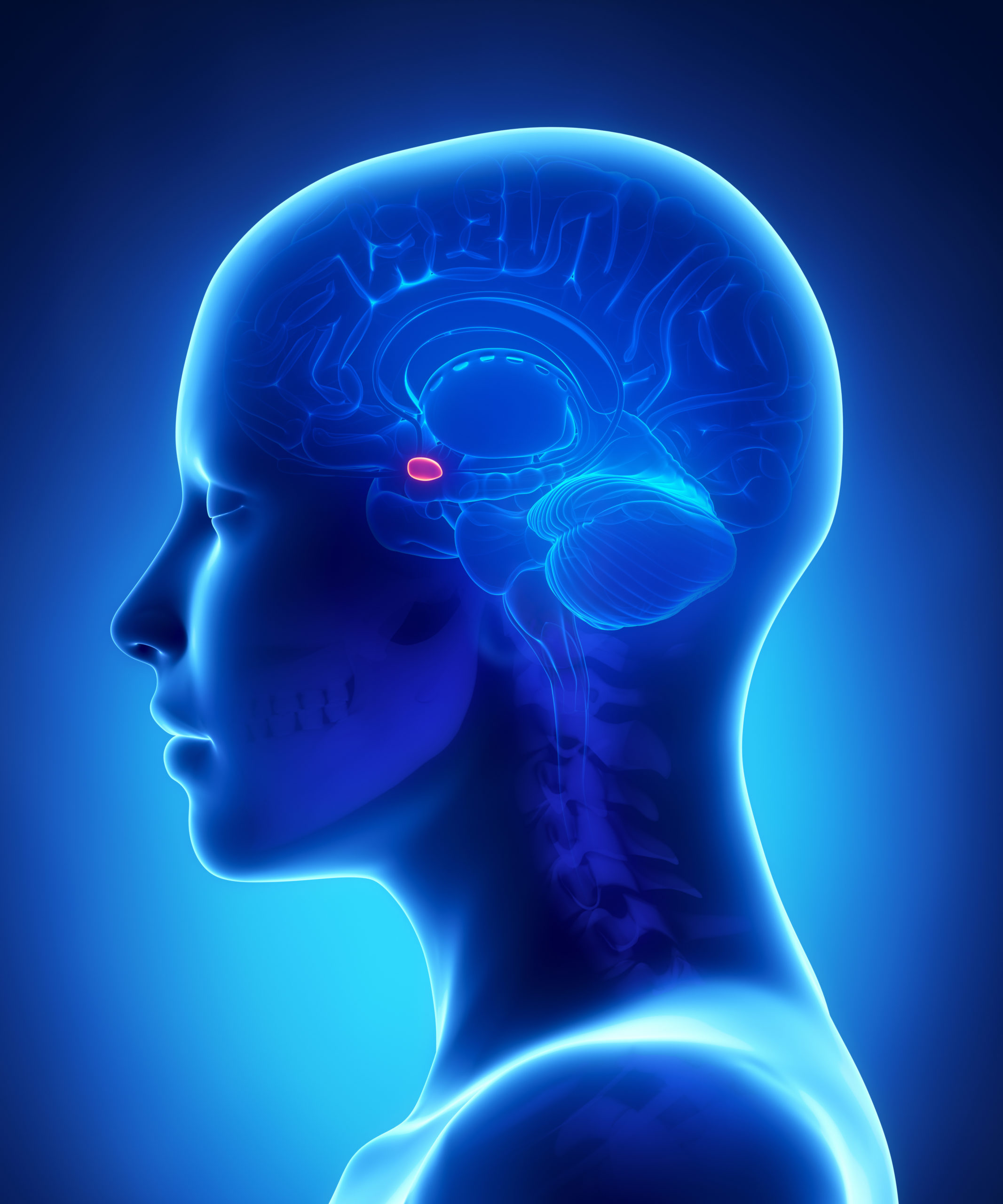 Sheehan's syndrome – Mga Sintomas, Paggamot at Sanhi - Mga Ospital ng ...