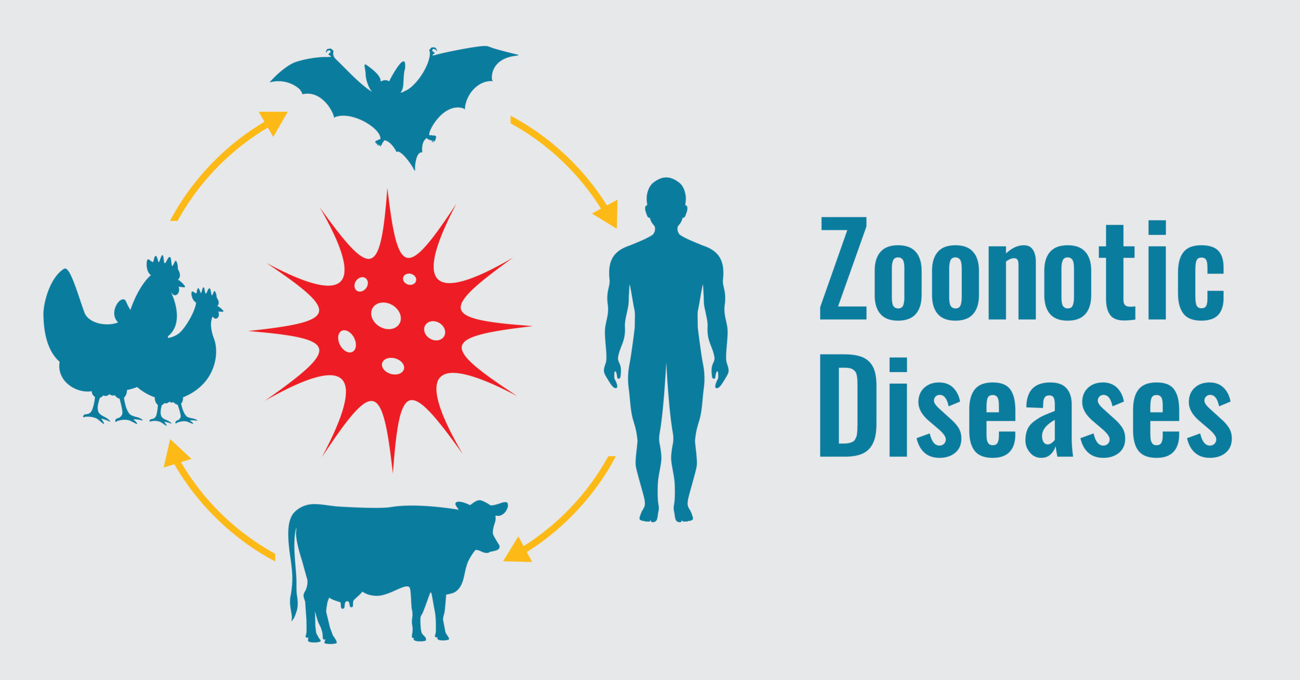 Zoonotic Diseases: Causes, Prevention and More