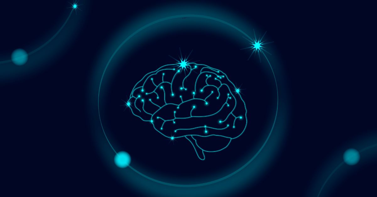 Frontal Lobe of the Brain Functions, Medical Issues and Treatment