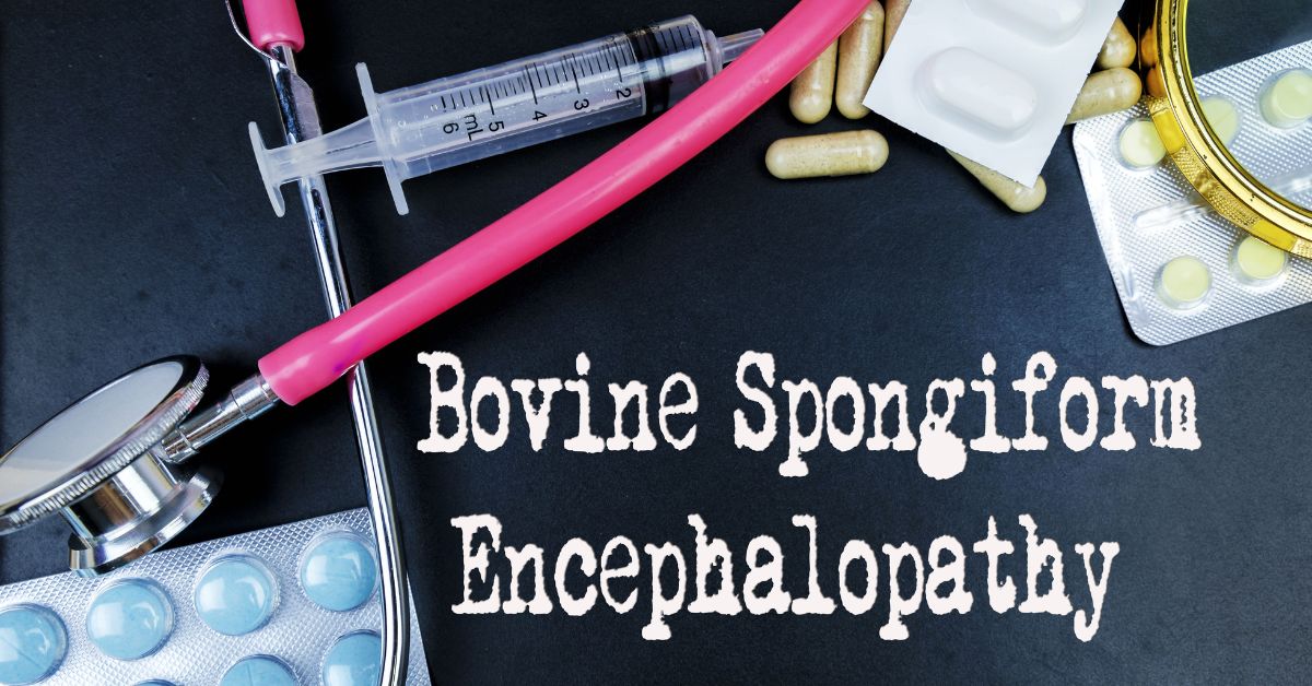 Bovine Spongiform Encephalopathy (BSE)