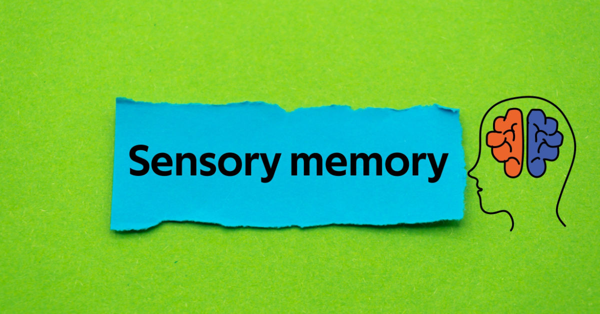 Sensory Memory: Types and What it is?