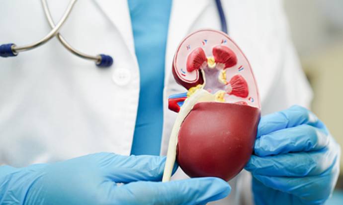 Nephrology